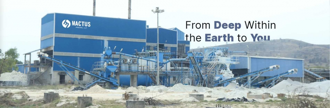 Mactus Mineral LLP Cover Image