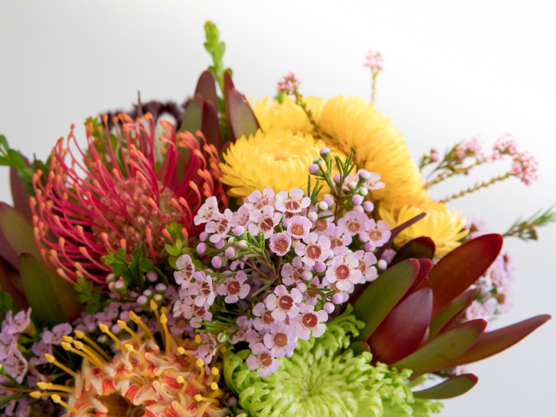The Beauty and Symbolism of Australian Native Flowers: A Melbourne CBD Perspective