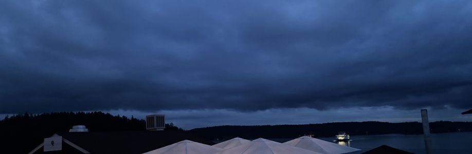 The Landing At Orcas Cover Image