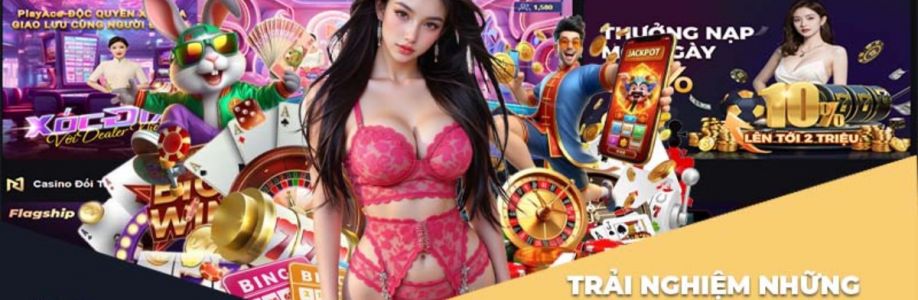 K8Bet Sân Chơi Cá Cược Trực Tuyến Uy Tín Cover Image