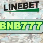 codepromo31o profile picture