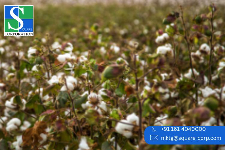 Gujarat Spinning Mills: Weaving Global Success Stories