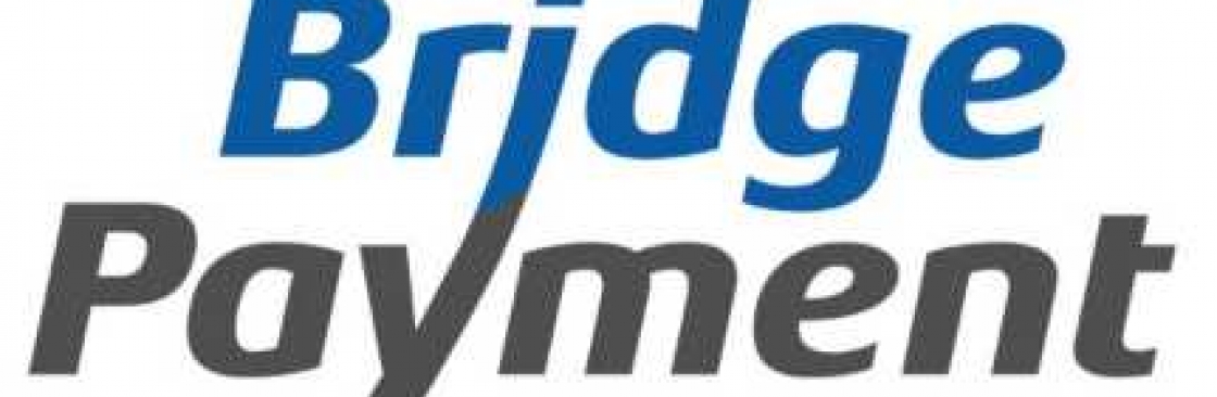 Bridge Payment Cover Image