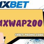 xbetfree bet Profile Picture