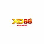 XO88 Profile Picture