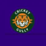 Cricketgully Id Profile Picture
