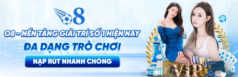 O8o8net com Cover Image