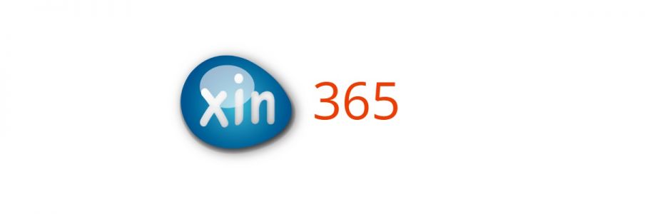 Xin Cube Cube Cover Image