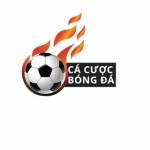 trangcacuo cbongdadiy Profile Picture