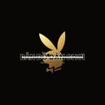 bandodanchoi Profile Picture