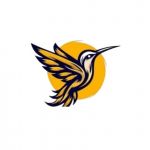 NetBird IT Solution Profile Picture