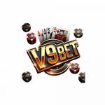 V9BET APP APP Profile Picture