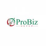 ProBiz Setup Profile Picture