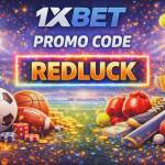 xbetcode1 Profile Picture