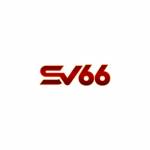 SV66 io Profile Picture