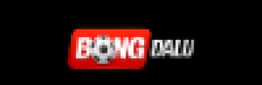 Bongdalu solar Cover Image