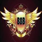 B8B 1ORG Profile Picture