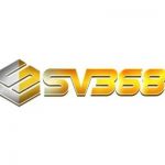 Sv368l6 Com Profile Picture