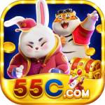 55c org Profile Picture