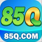85q org Profile Picture
